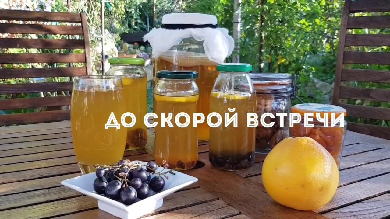 Всё Про Чайный Гриб/Сколько Пить Когда Пить Как Хранить/ Инструкция по ЧГ/Комбуча