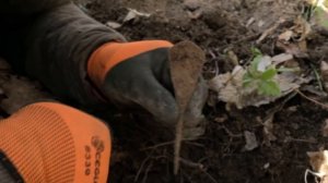 Я нашел крутые находки в древнем лесу. Вкусная еда на природе Skilur