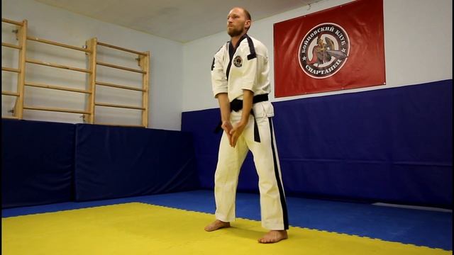 Базовые и опорные позиции Тэкэндо смотреть онлайн