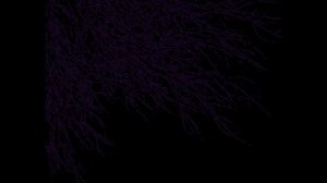 visiter - plenka 1 hour(1 час)