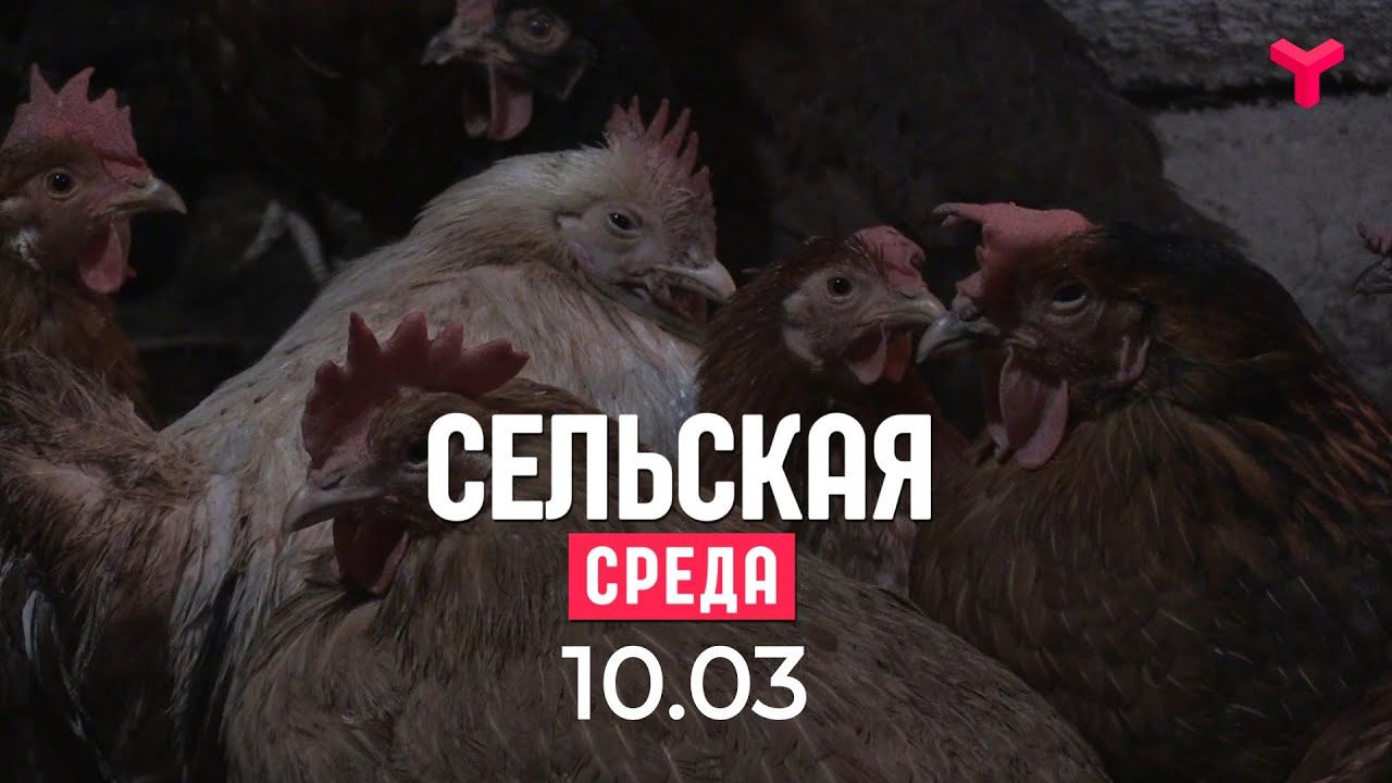 Сельская среда