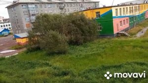 Посёлок Северный Воркута, вид с балкона, лето