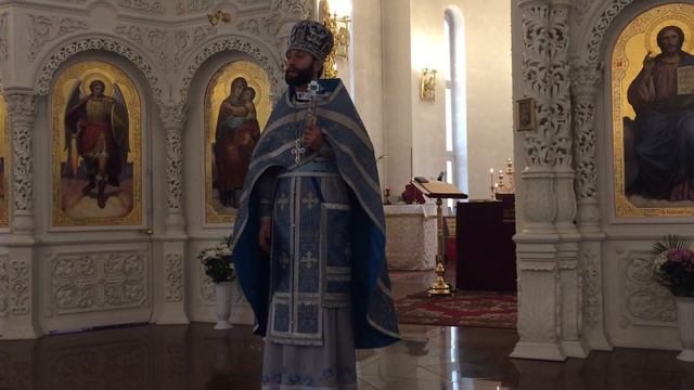 Благовещение Пресвятой Богородицы. Послесловие, протоиерей Иоанн Шепида смотреть онлайн