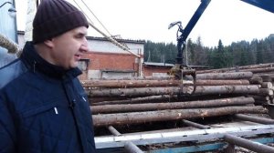 Приемка, подача, сортировка круглого леса| Эстакада накопительная
