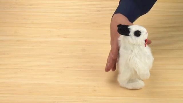 Зайчик - повторюха (говорящий заяц).Игрушки на батарейках.Парк чудес подарки оптом