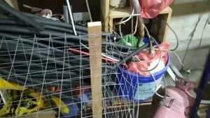 Куры несушки в гараже