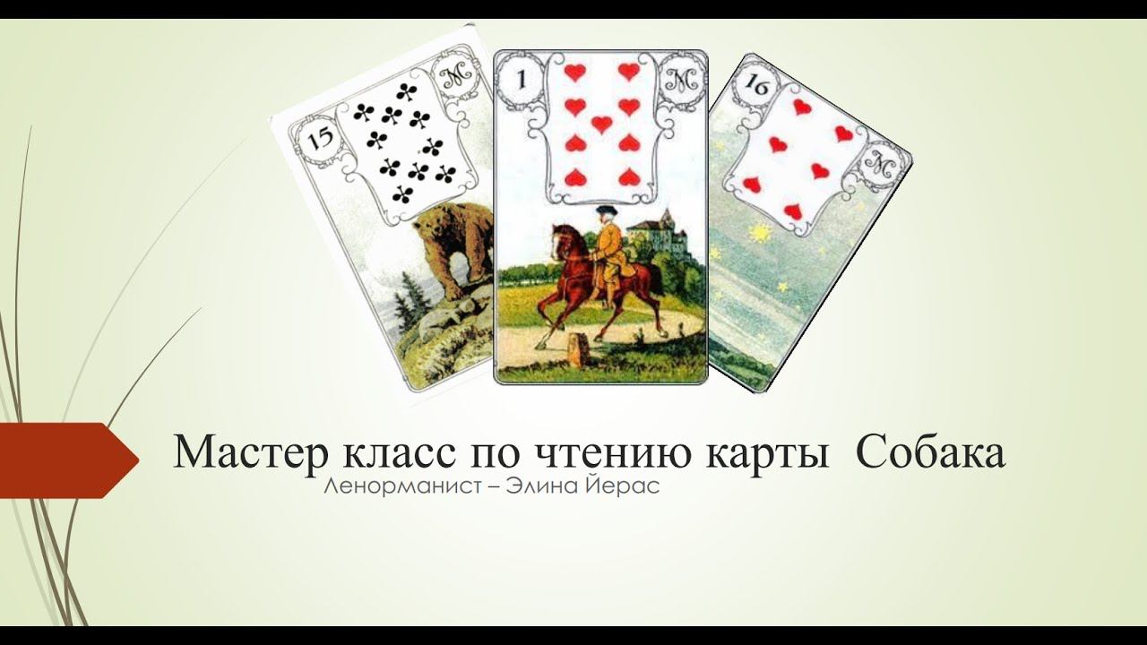 Особенности карты Собаки