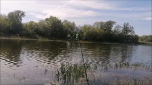 Рыбалка и шашлык, на Озере Рылеева, мкр. Малышево, г.Воронеж, 08.05.2023 года