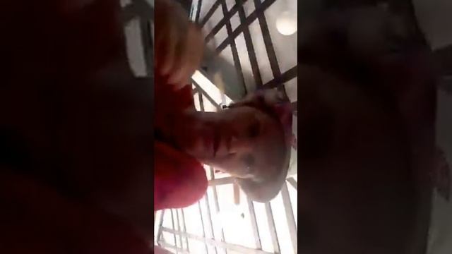 Как правильно мечтать, чтобы мечты сбывались Утро в Тайланде с Викторией Ясной 4 смотреть онлайн