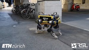 ANYmal — четвероногий робот с колесами на концах ног