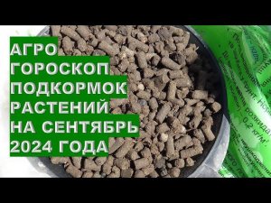 Агрогороскоп подкормок растений в сентябре 2024 Agrohoroscope of plant feeding in September 2024