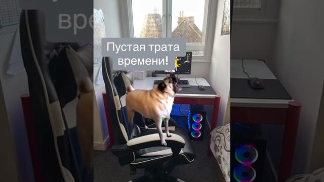 И так каждый день #shorts смотреть онлайн