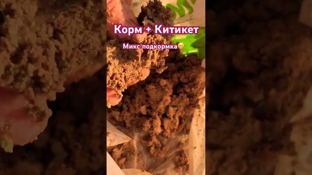 Приготовили корм со вкусом китикет кошачий ??рыба заценит #рыбалка #отдых ???