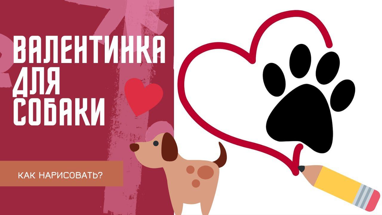 Валентинка для собачки - как нарисовать? смотреть онлайн
