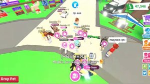 Что дают за пингвина в адопт ми?