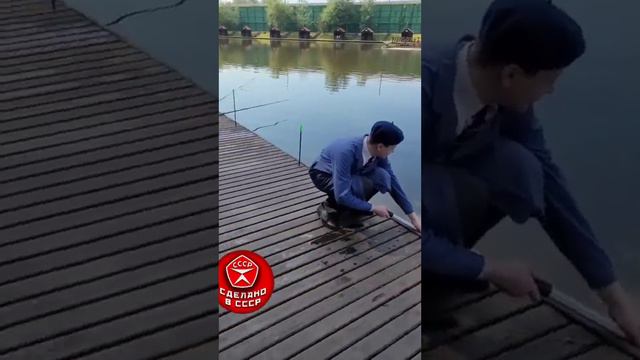 Крайняя серия!