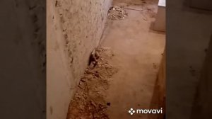 Ремонт в Хрущевке.