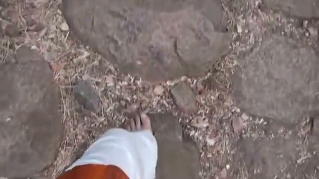 ॐ Шри Рамана Махарши. Само исследование