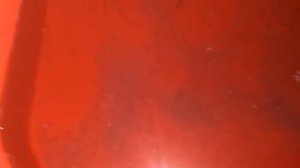 Выклев личинок карпа, 2 этап.