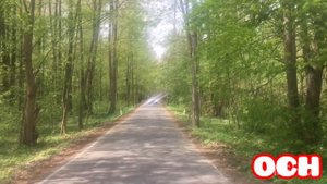 VW Passat CC СТРОБОСКОПЫ, эффект стробоскопа на авто