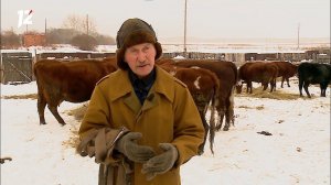 «Местные жители» с Оксаной Савочкиной (09.02.21)