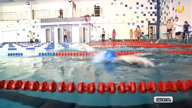 Преподаватели БГПУ сменили аудиторию на бассейн смотреть онлайн