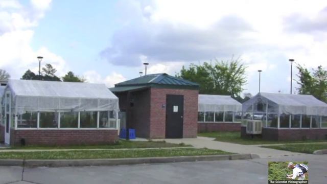 Example of a Video Abstract смотреть онлайн