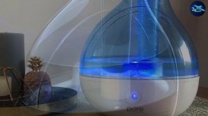 Best Humidifiers for Asthma in 2023  (Top 10 Picks)