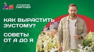 КАК ЛЕГКО ВЫРАСТИТЬ ЭУСТОМУ: ПРАКТИЧЕСКИЕ СОВЕТЫ И ПРОВЕРЕННЫЕ РЕКОМЕНДАЦИИ