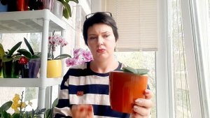 Пересадка подростков 1,7 и 2,5