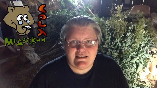 ГРИПП - профилактика природными средствами (Школа травоведения)