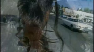 Creedence Clearwater Revival - Sweet Hitch-Hiker (CCR)(1971) HD 0815007