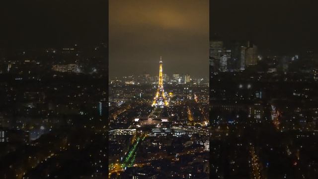 sparkling Eiffel tower from Montparnasse tower