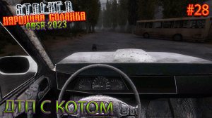 ДТП С КОТОМ | STALKER НАРОДНАЯ СОЛЯНКА OGSR 2023 | Серия 28