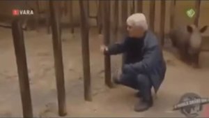 This is Хорошо - Носорог любит человека! (- n -)