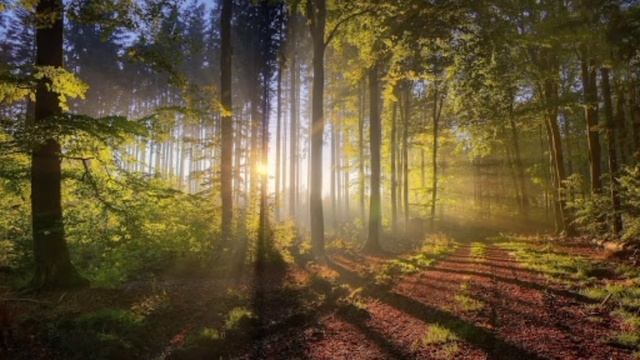 На пути правды смотреть онлайн