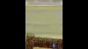 Лайфхак. Домашнего средства от ржавчины. #Shorts