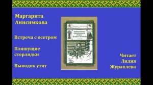 Маргарита Анисимкова Встреча с осетром и другие рассказы