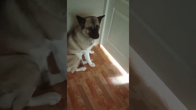 8 сентября 2020 г. смотреть онлайн