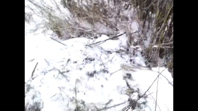 Застряли в болоте смотреть онлайн