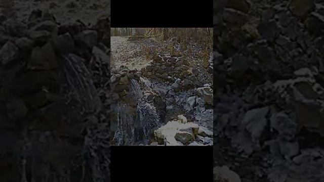 Звук ручья в тропическом лесу