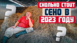 Сколько стоит сено в 2023 году...оно подорожало в 3 РАЗА. "Мое Подворье"