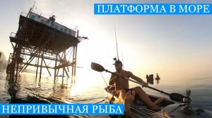 Чёрное Море и Чёрная Речка - РЫБАЛКА и ПРИКЛЮЧЕНИЯ!)) Новые впечатления, добыча и живность!!