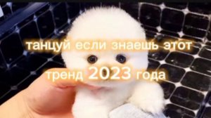 танцуй если знаешь этот тренд 2023 года🥳🥳🥳🏳️🌈