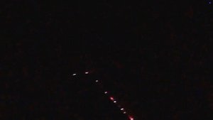 дом ужасов в новосибирском зоопарке