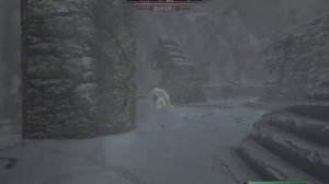 Skyrim Shadow Bug