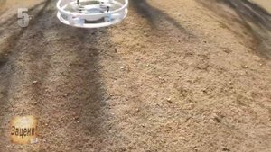 10 КРУТЫХ МОДЕЛЕЙ НА РАДИО УПРАВЛЕНИИ | ЛУЧШИЕ RC МОДЕЛИ С АЛИЭКСПРЕСС