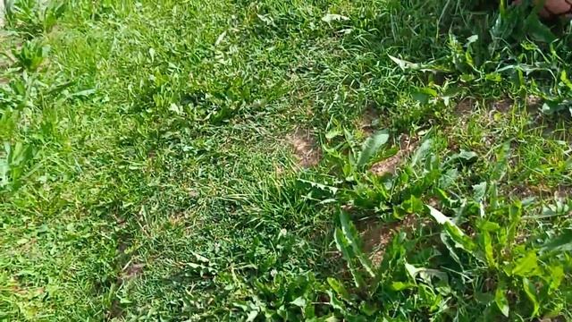 Буду красить лодку. Брусок для заточки сверла. Сосед вызвал скорую. смотреть онлайн