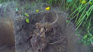 2.Копка выгребной ямы