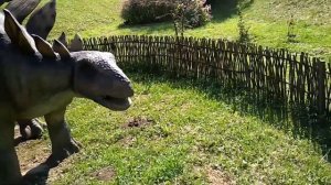 Динозавры живые, Как выжил динозавр? Мама и сын шокированы!